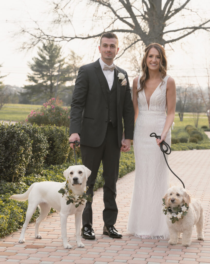 wedding pet care services in NYC, NJ, PA, DC