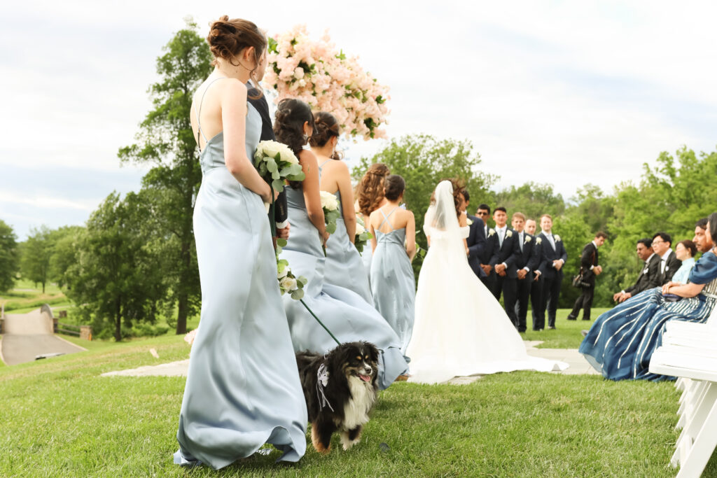 wedding dogs services in nj