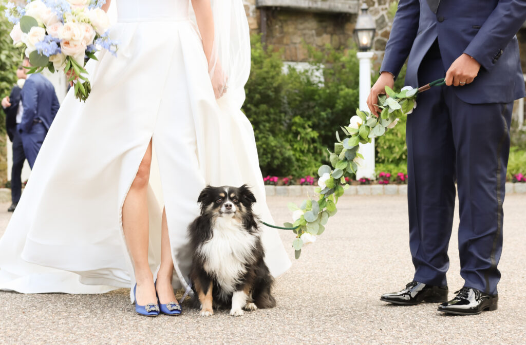 Including your dog in your wedding.