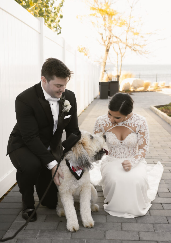 wedding dog pet care in NYC
