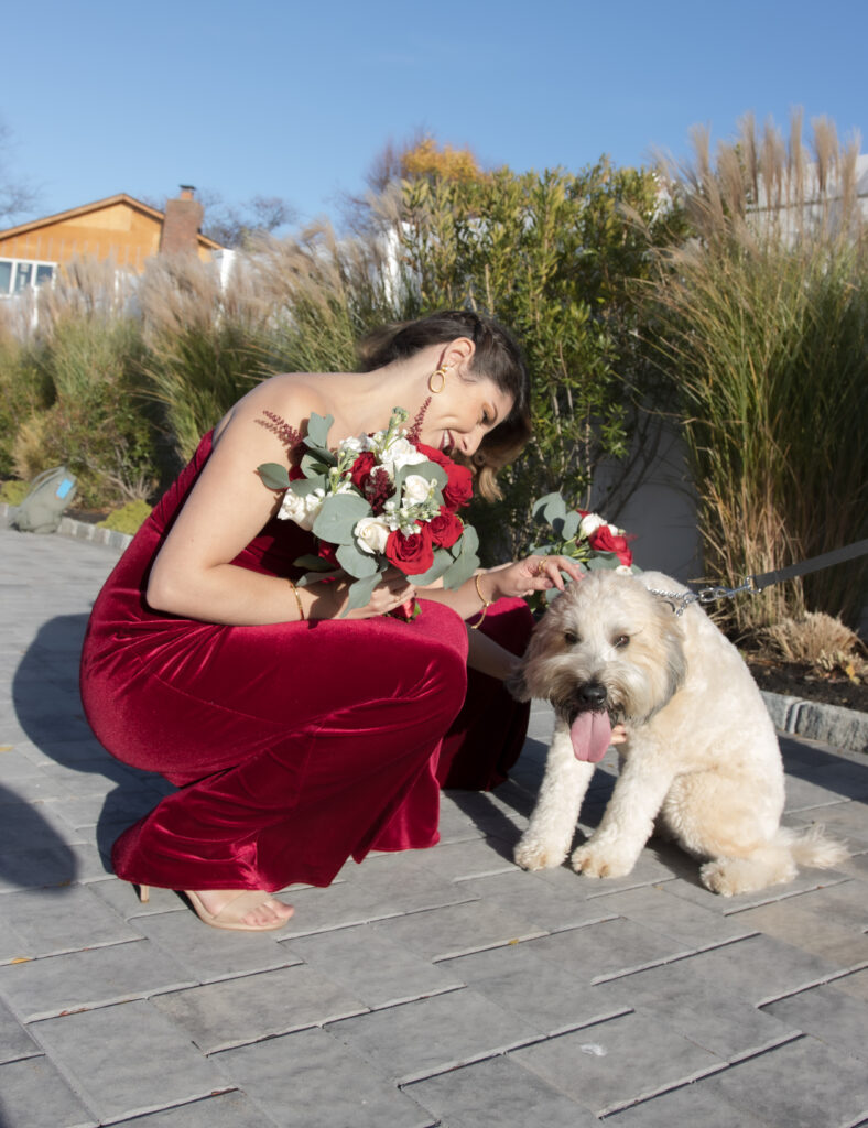 weeding day pet care services 